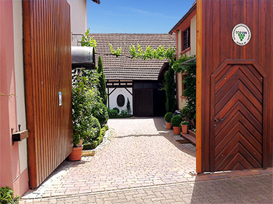 Holhreiter